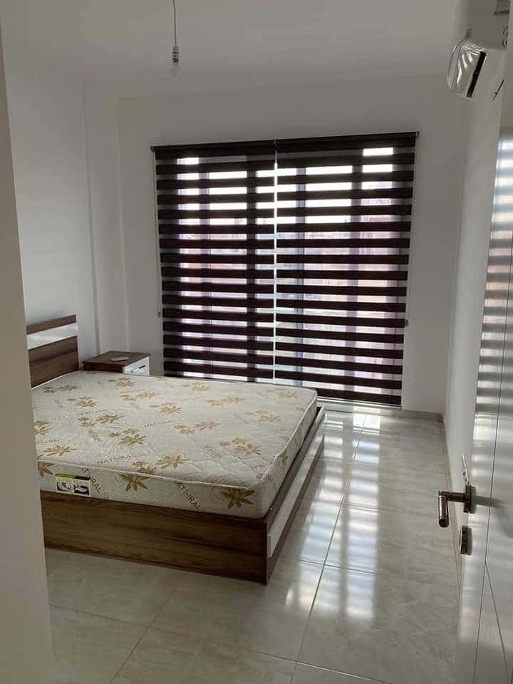 More images
